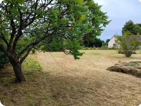 jardinier à Le Mans - image 4