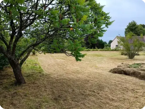 jardinier à Saint-Calais - image 3