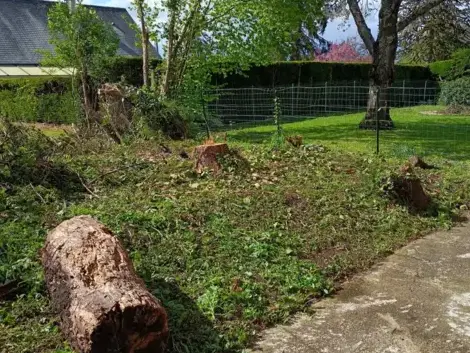 jardinier à Saint-Calais - image 4