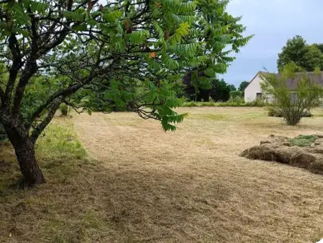 paysagiste Bouloire-1