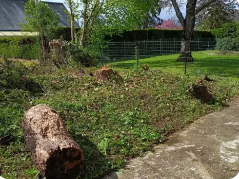 paysagiste à Bouloire - image 3