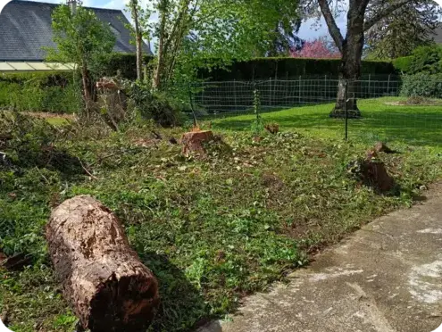 paysagiste Connerré-1