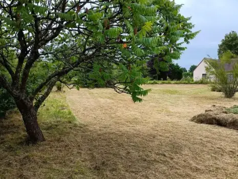 paysagiste à Connerré - image 3