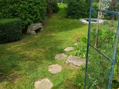 paysagiste à La Ferté-Bernard - image 2