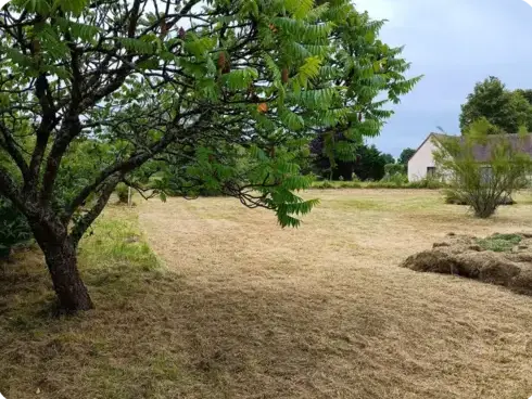 paysagiste à La Ferté-Bernard - image 3