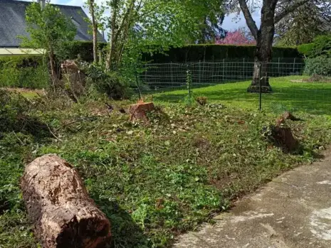 paysagiste La Ferté-Bernard-5