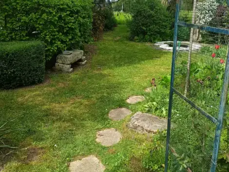 paysagiste Le Grand-Lucé-1