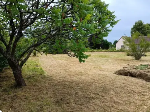 paysagiste à Le Grand-Lucé - image 3