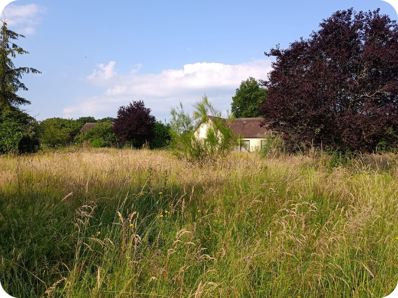 before-image