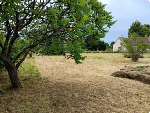 paysagiste à Le Mans - image 3