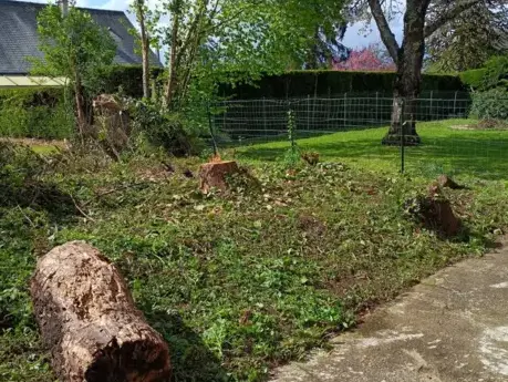 paysagiste Le Mans-5